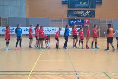 10.-wu-13-pred-tekmo-z-voslau-avs