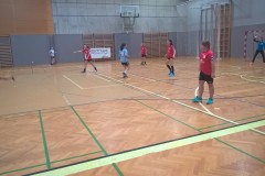 12.-wu-13-med-tekmo-z-voslau-avs
