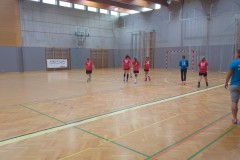 17.-wu-13-med-tekmo-z-voslau-avs