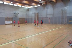 18.-wu-13-med-tekmo-z-voslau-avs