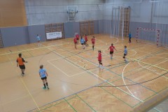 24.-wu-13-med-tekmo-z-voslau-avs