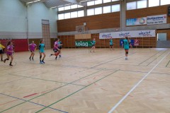 26.-wu-16-proti-italijankam