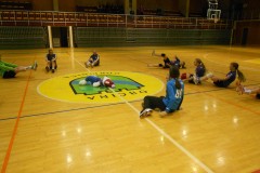MDAGorinica15.12.2014