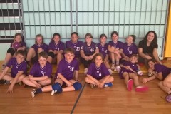11.-mini-rae-0607-11.5.2017