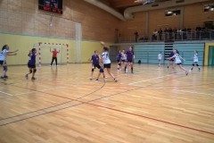 3.raebranik18.11.2016