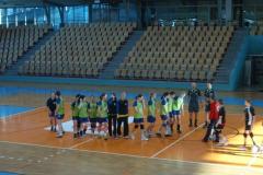 sezona 2010/2011