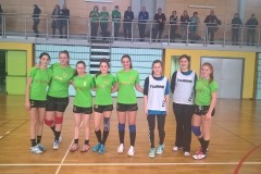 12.-rae-velenje-29.1.2017