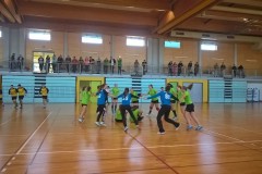 4.-rae-gorinica-22.10.2016